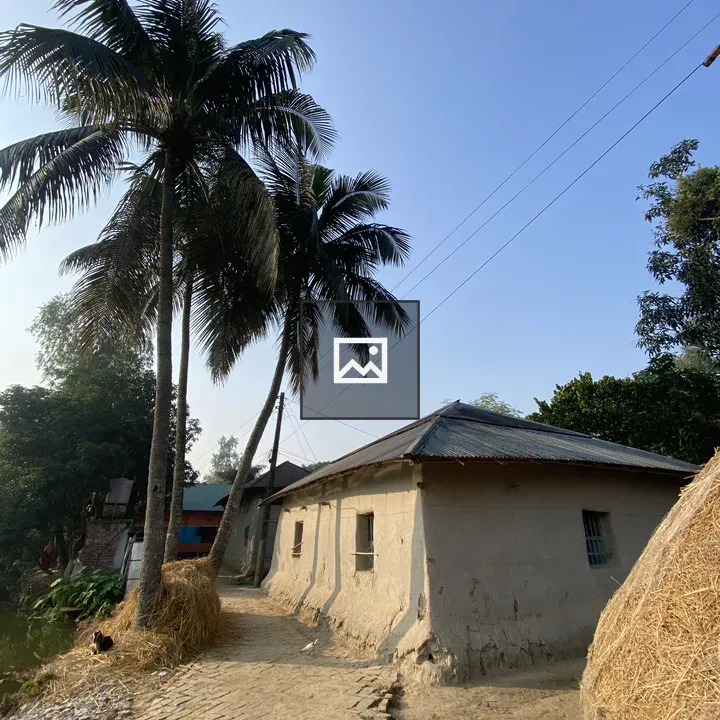Path by a rustic house with palm shade