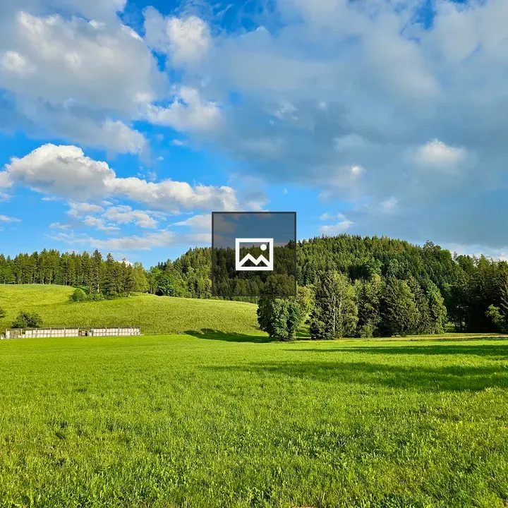 Meadow and Sky Over Zug