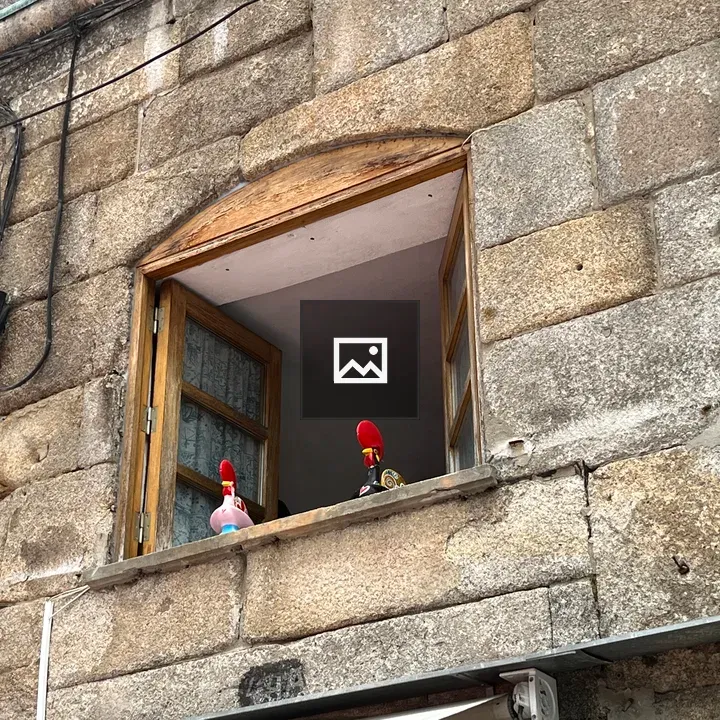 Metal roosters at Porto window