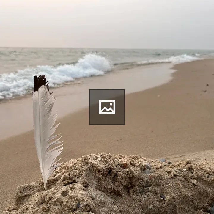 Gull Feather on Beach Sand