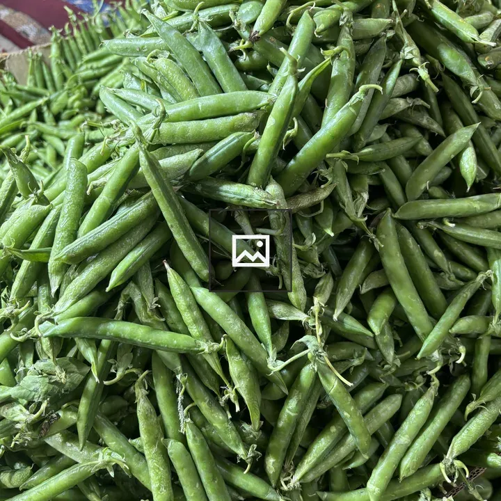 Close-up of fresh green peas