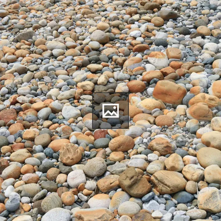 Ground covered with grey and brown stones