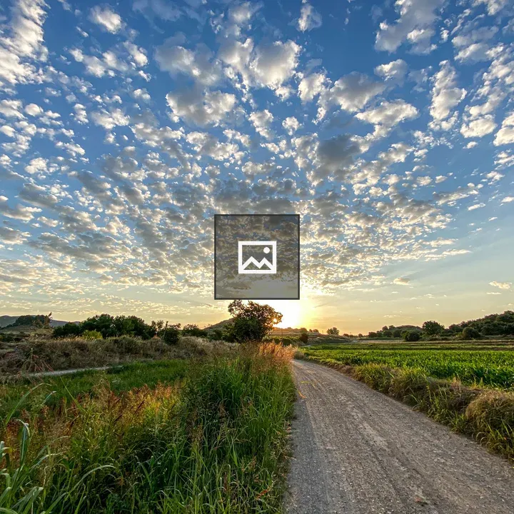 Rural landscape with dirt road