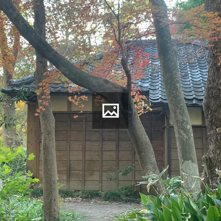 Branch visible through building shade