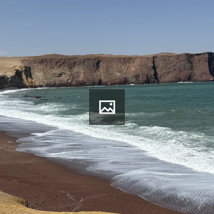 Beach and cliff scene with dunes
