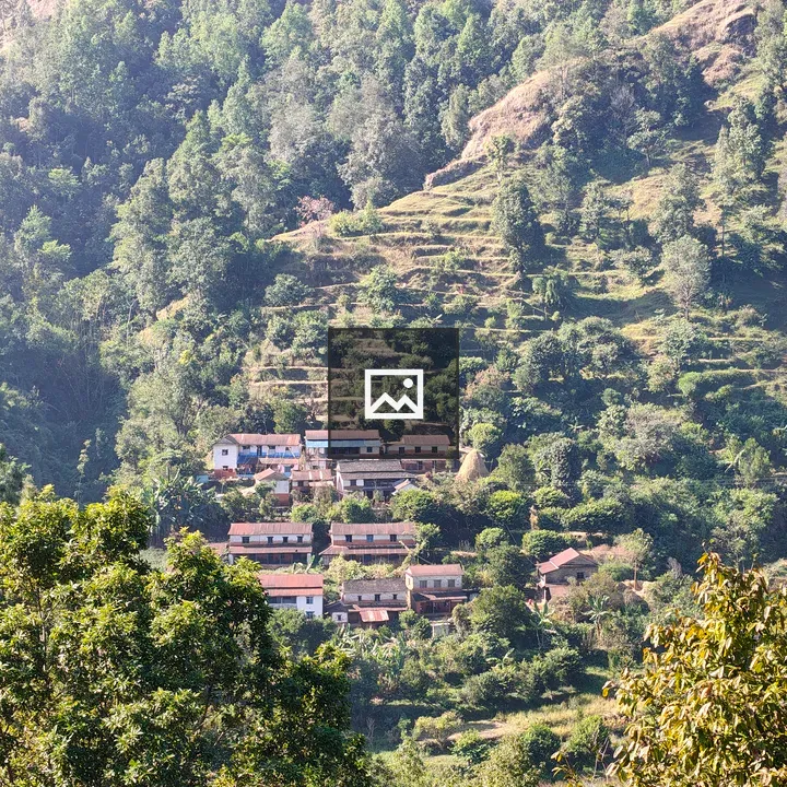 Hillside village with greenery