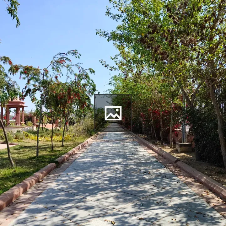 Pathway with flowers and trees