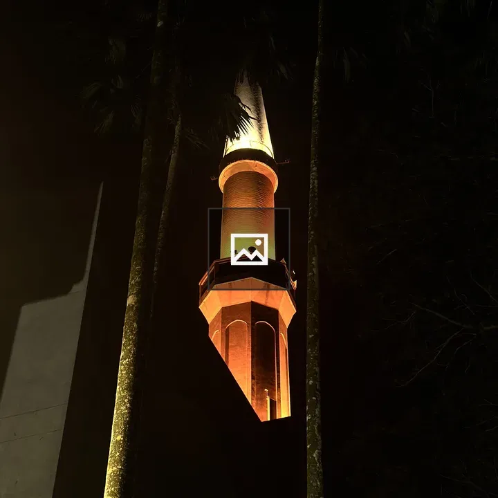 Minaret with Palm Trees at Night