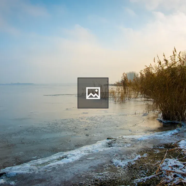 Frozen lake in Huizen