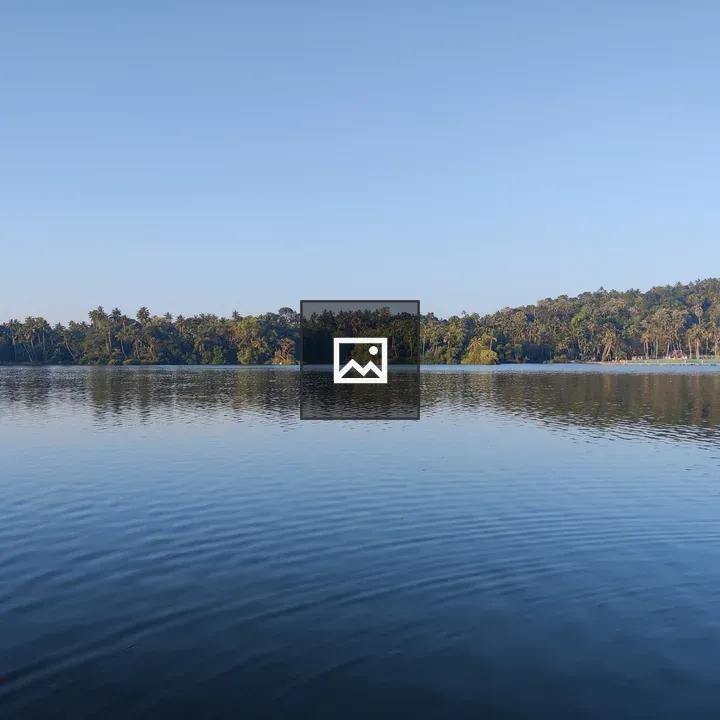 Calm lake with palm trees
