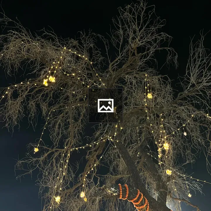 Tree decorations with lights and marigolds