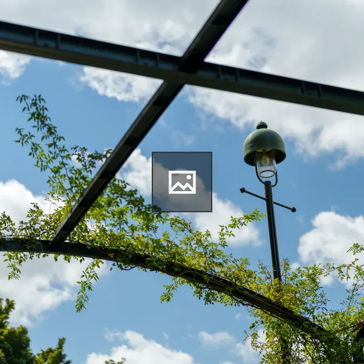 Vintage street lamp with vines