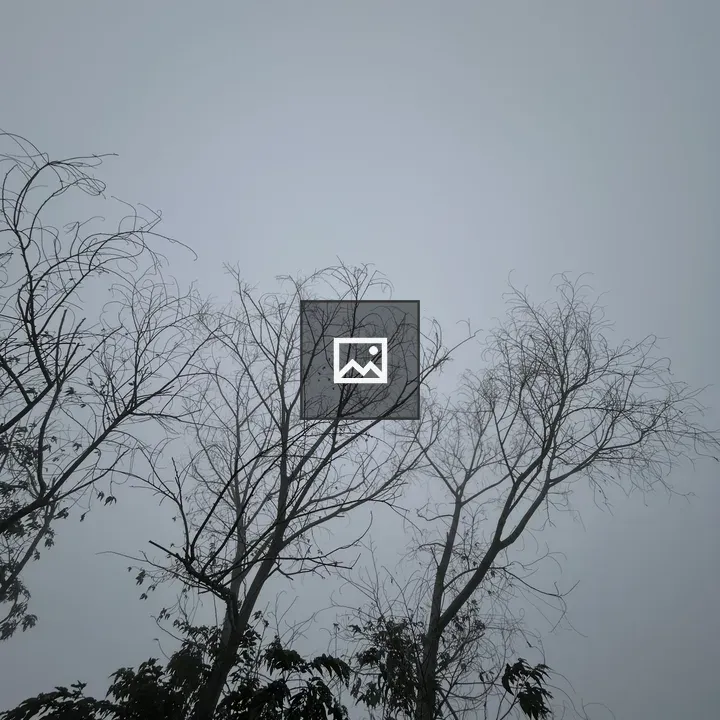 Two bare trees against overcast sky