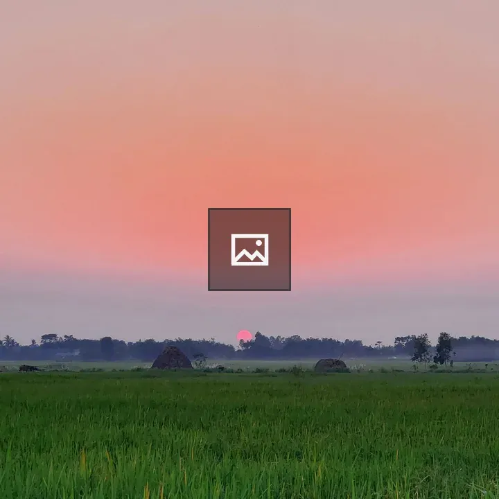 Sunset over grassy field