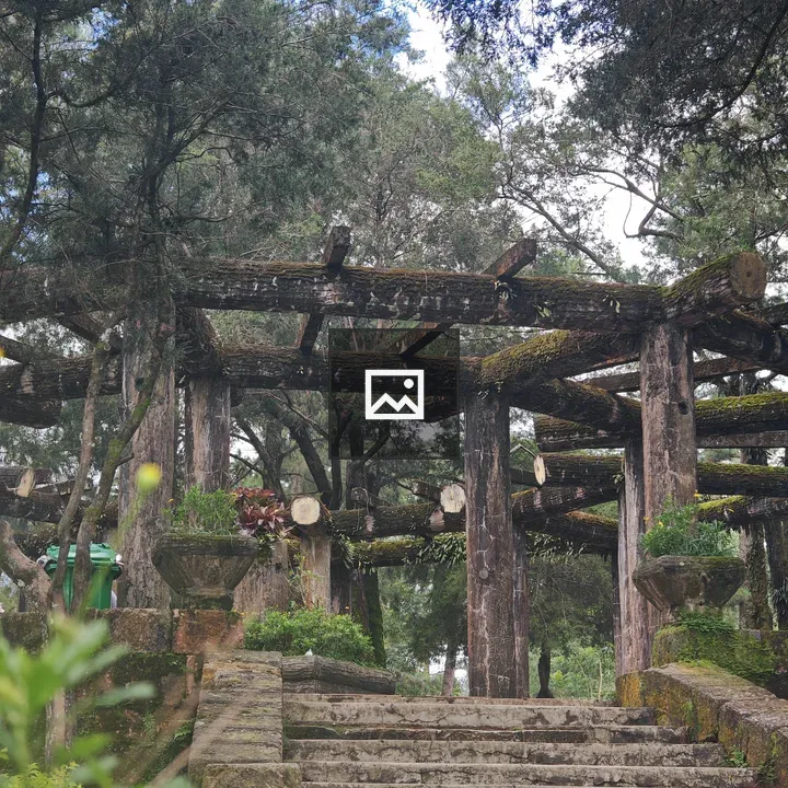 Stone steps to pergola garden