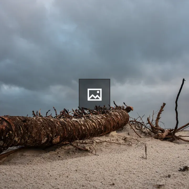 Fallen log on a moody beach