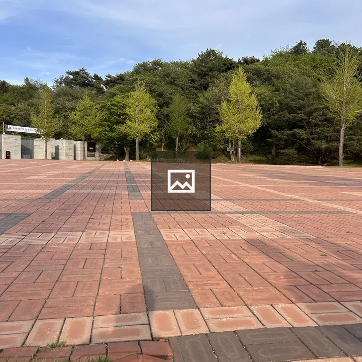 Paved walkway with greenery