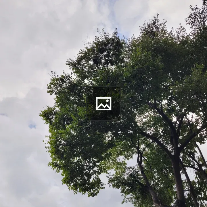 Green Tree with Clouds