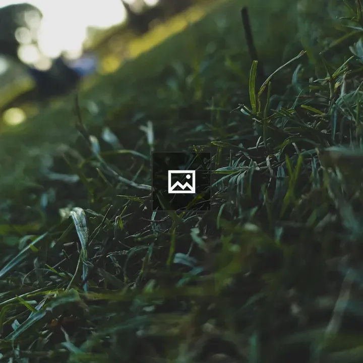 Close-up Grass with Blurred Background