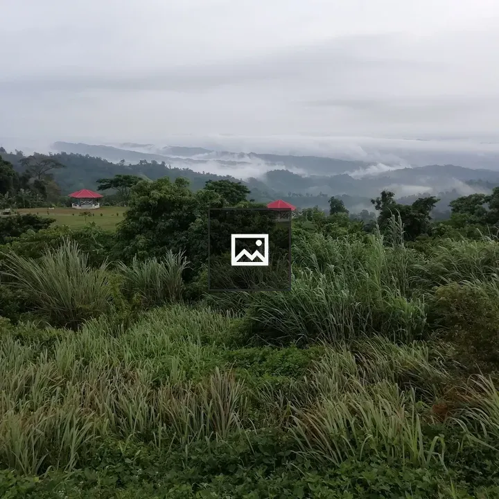 Sajek Hill Landscape