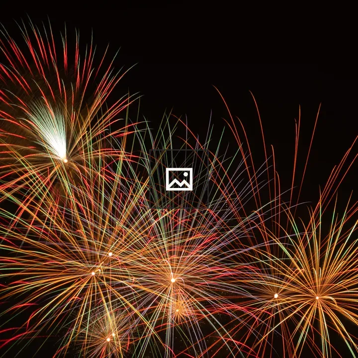 Colorful fireworks over night sky