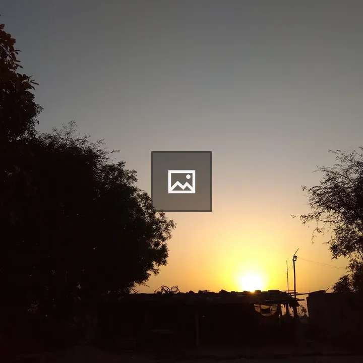 Sunset with silhouettes of trees