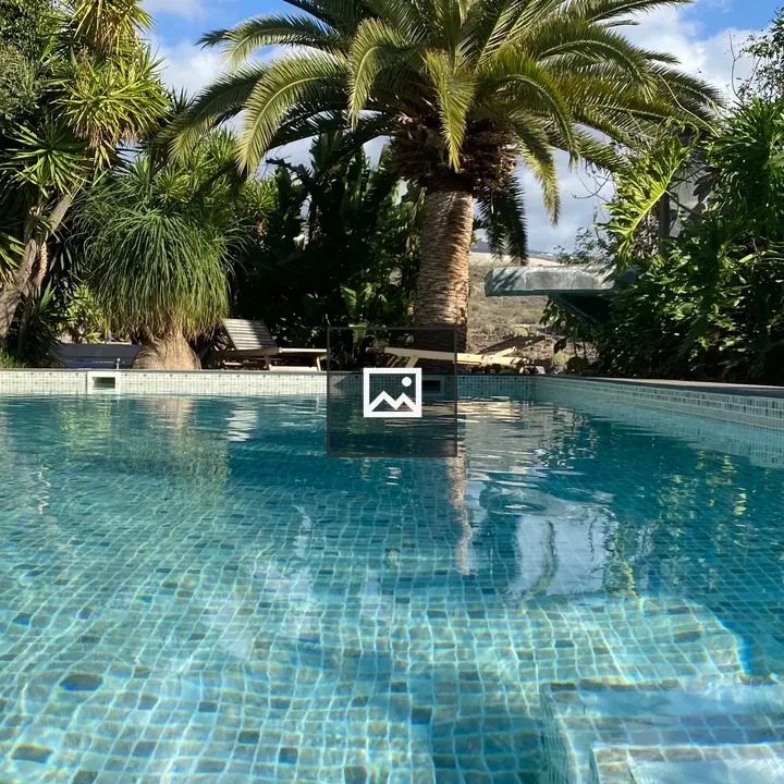 Swimming Pool Scene