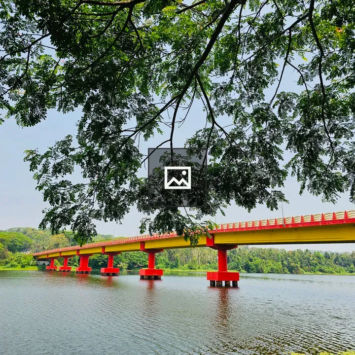 Side view of Elamaram Kadavu Bridge
