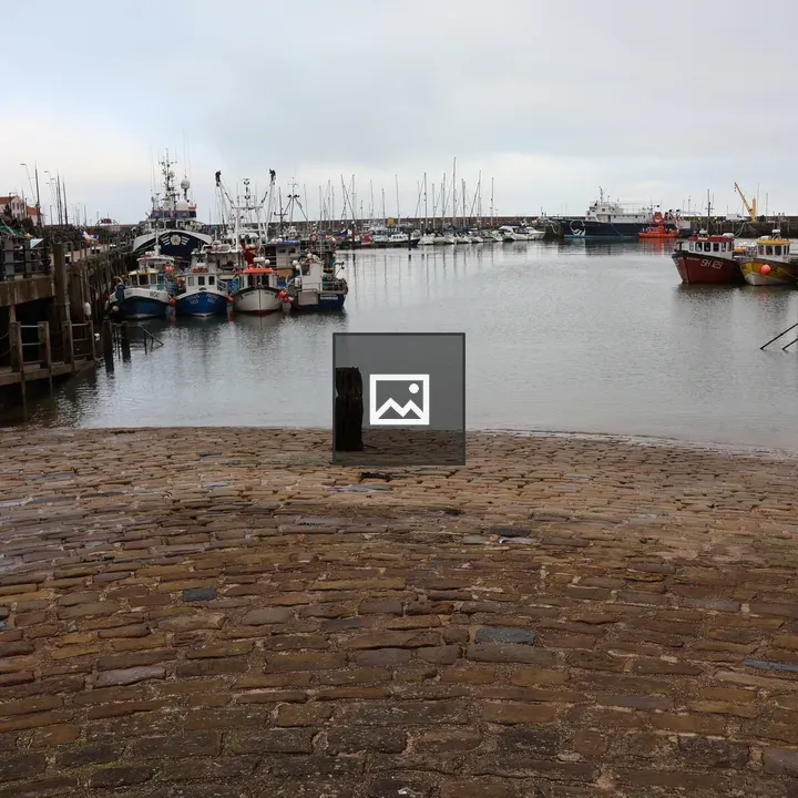 Harbour with fishing boats