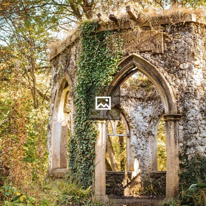 Ruined stone structure in ivy