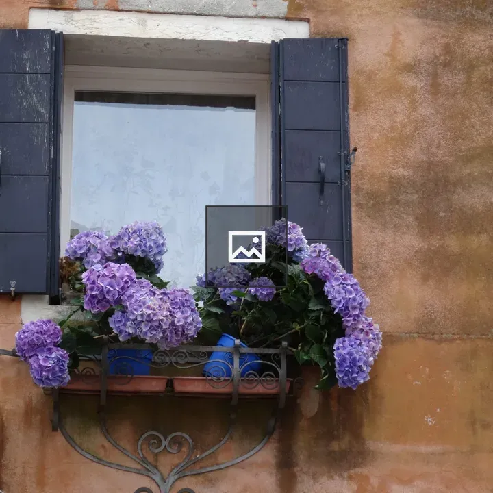 Rustic Window with Hydrangeas