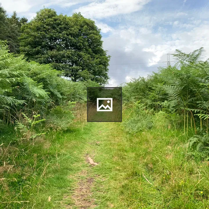 Grassy footpath in Sidlaw Hills