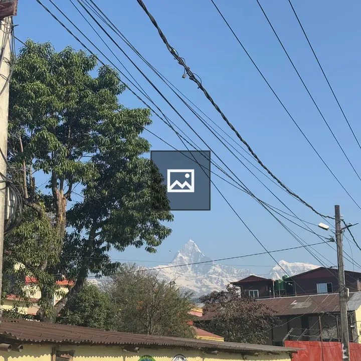 Tree with Mount Fishtail in Background