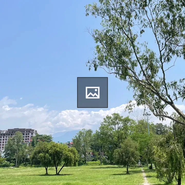Grassy field with trees and path