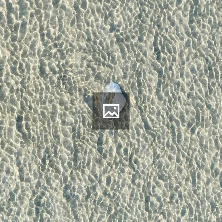 Broken seashell in ripple