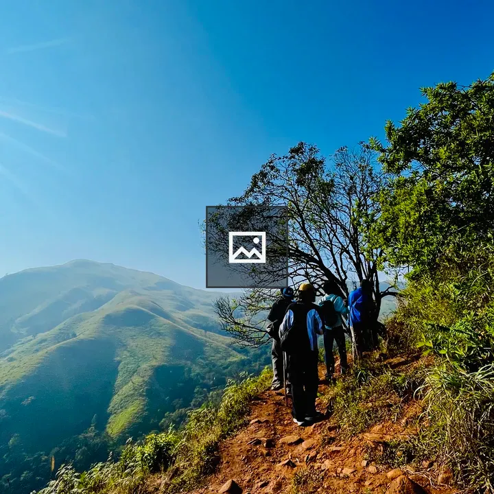 Hikers on a dirt trail