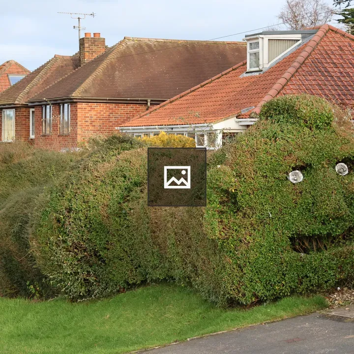 Hedge Snake Head Sculpture