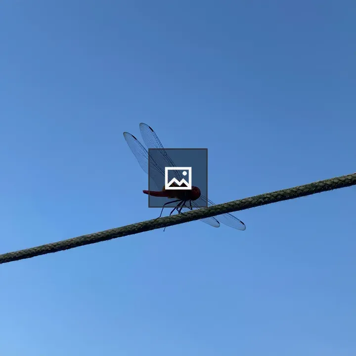 Dragonfly on Wire