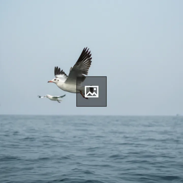 Seagulls Over the Sea