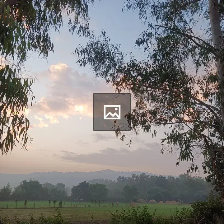 Peaceful countryside morning