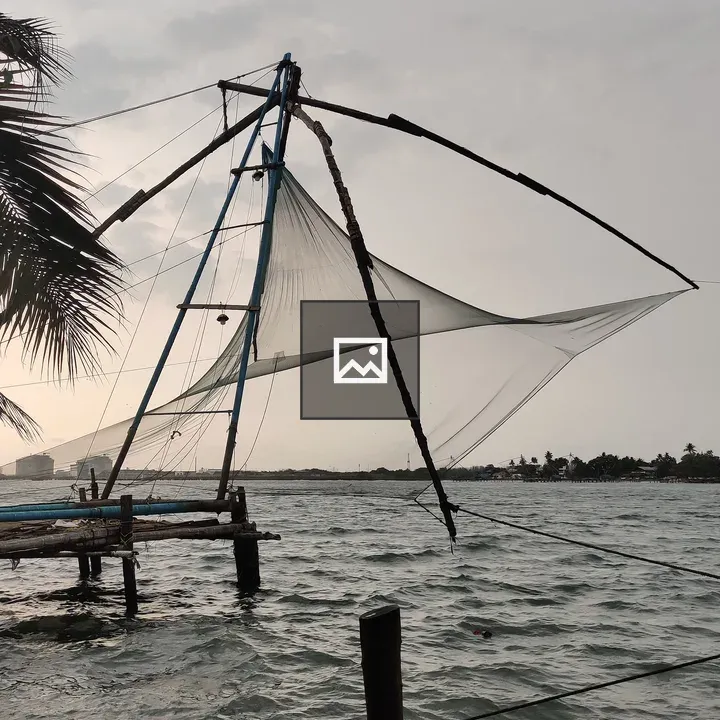 Chinese Fishing Net