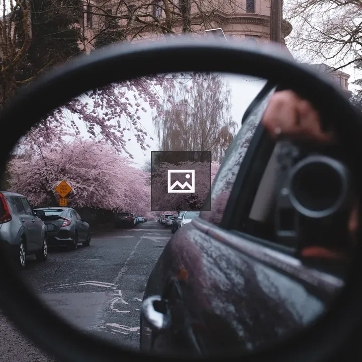 Cherry blossoms in car mirror