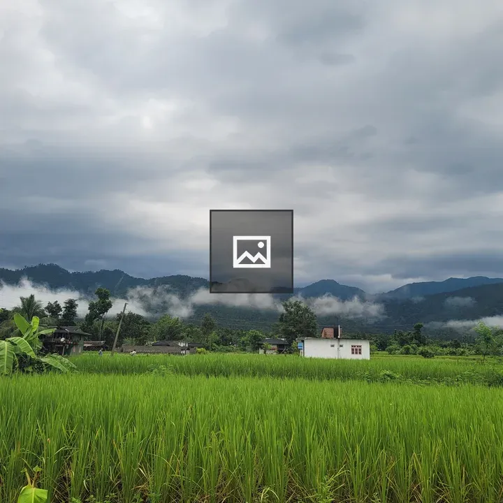Rice fields and white house landscape