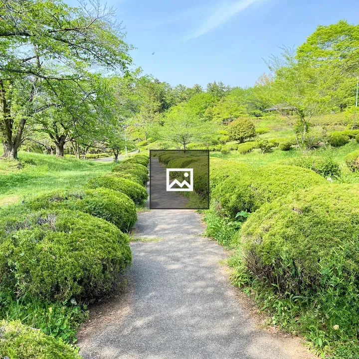 Paved Park Pathway