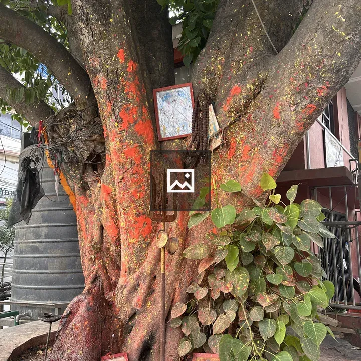 Painted tree trunk