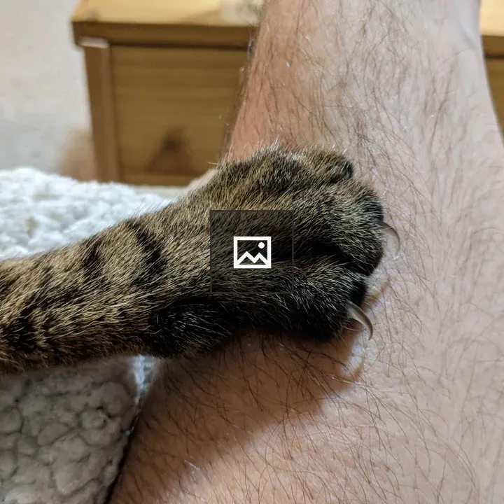 Cat paw with claws extended