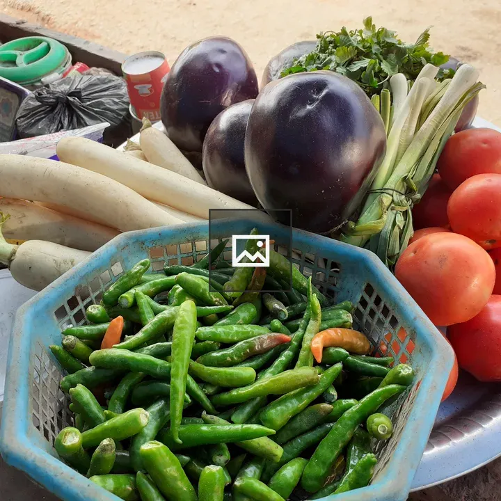 Colorful vegetables on wooden surface