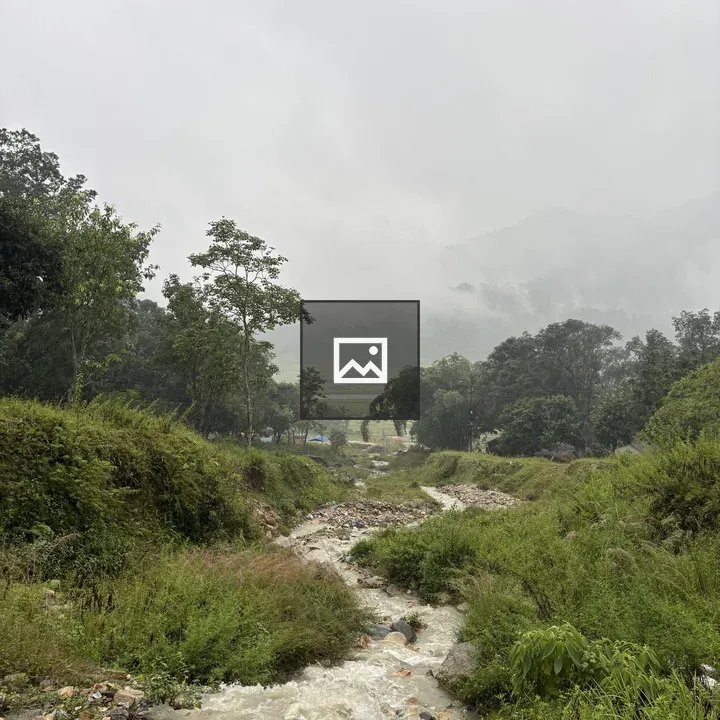 Winding Stream Through Green Landscape