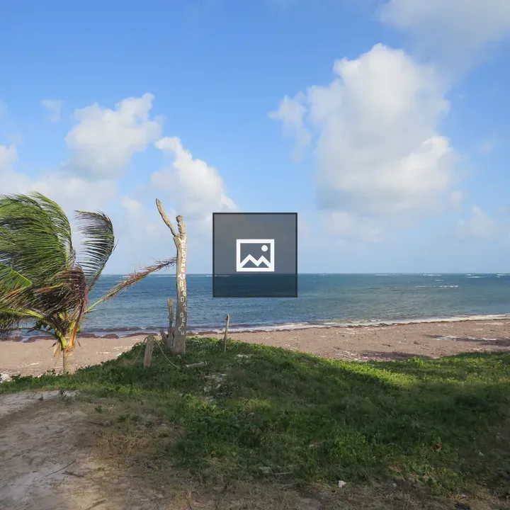 Beach in Kilifi with Windswept Palm