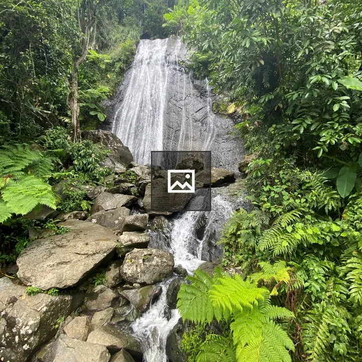 Waterfall with Green Foliage